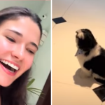 Vídeo: Petshop entrega cachorro errado para influencer e vira motivo de risada