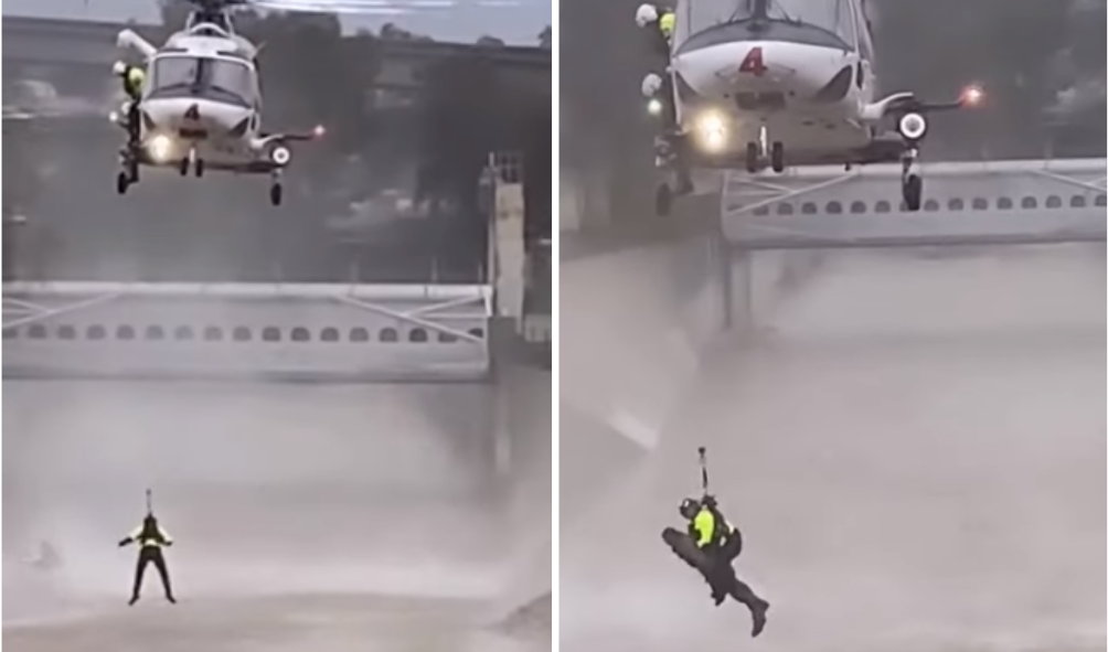 Vídeo: homem é salvo por bombeiros após pular na água para salvar cachorro