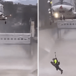 Vídeo: homem é salvo por bombeiros após pular na água para salvar cachorro