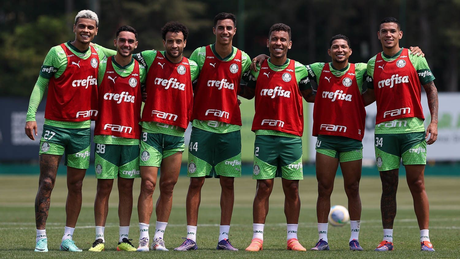Palmeiras tem reforço para jogo contra Criciúma e se aproxima de limpa no DM