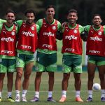 Palmeiras tem reforço para jogo contra Criciúma e se aproxima de limpa no DM