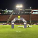 Vitória x Botafogo: escalações estão definidas para jogo do Brasileiro