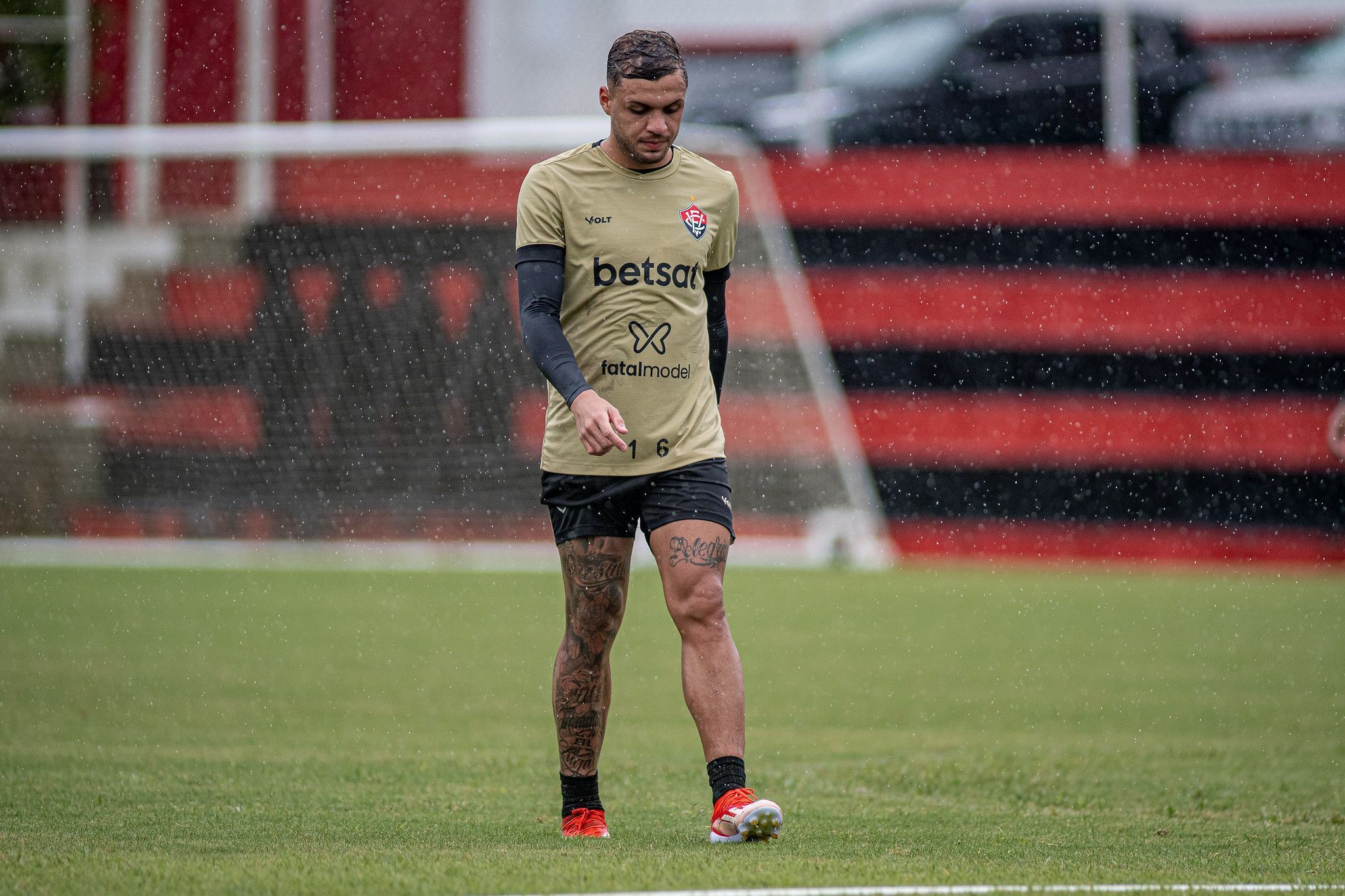 Vai ter chances? Carpini comenta sobre ex-Cruzeiro no Vitória