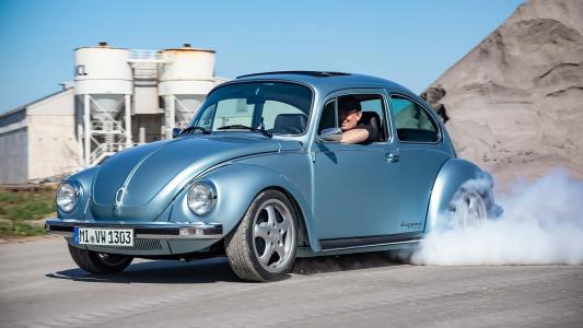 Fusca Knepper Bugs & More