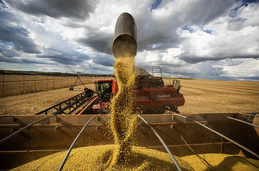 Acordos entre EUA e China impulsionam soja no mercado internacional
