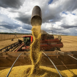 Agro respondeu por ⅓ da economia do país em 2023; entenda