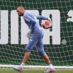 Palmeiras x Inter de Limeira: horário e onde assistir ao vivo pelo Paulistão