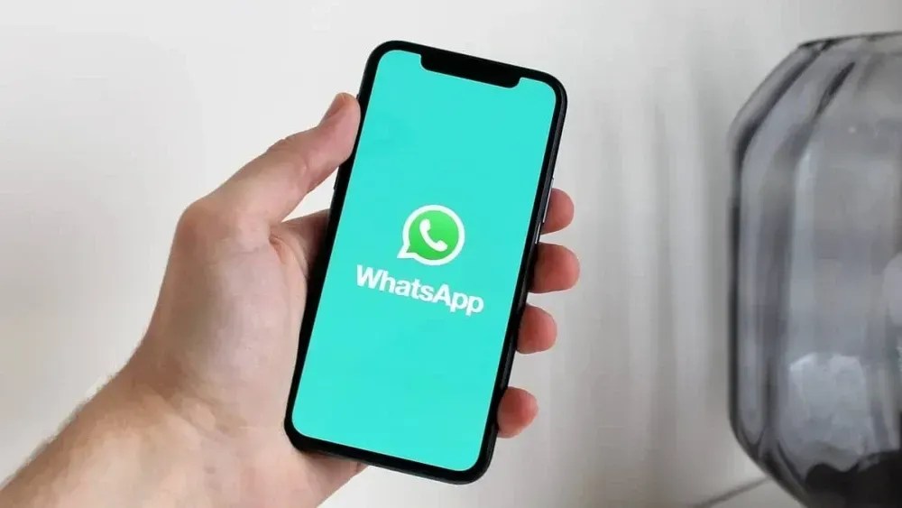 Prefeitura de Juiz de Fora divulga WhatsApp para orientação de benefícios