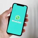 Quais arquivos estão na lixeira do WhatsApp e como esvaziá-la para liberar espaço no seu telefone?