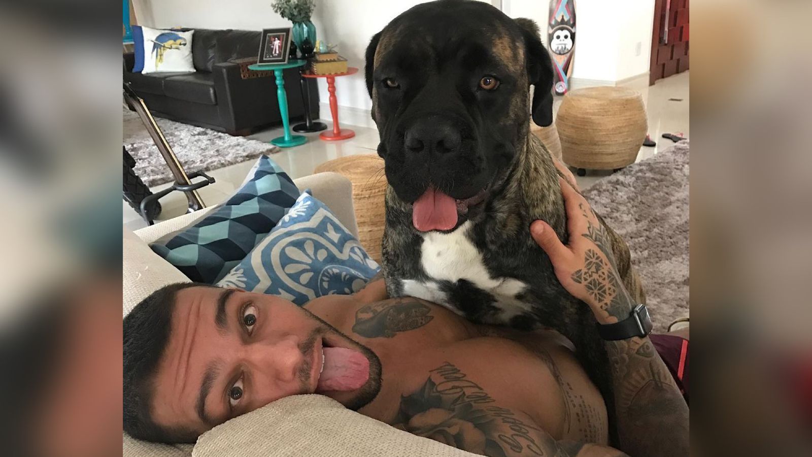 Lucas Lucco lamenta morte da cadela Lizzi: 'Dói demais, que dia triste'