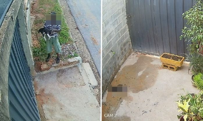 Vídeo: Homem é flagrado arremessando cachorrinho por cima de muro em BH