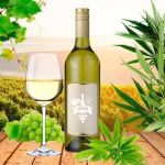 Cannabis dá mais sabor ao vinho branco