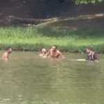Vídeo: grupo é flagrado nadando na Lagoa da Pampulha, em BH