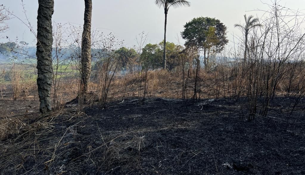 Ministério do Meio Ambiente culpa El Niño por aumento de queimadas na Amazônia