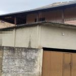 Fogos de artifício? Cachorro morre pendurado em corrente para fora de casa em Santa Luzia