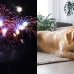 Ouro Preto mantém proibição de fogos com barulho