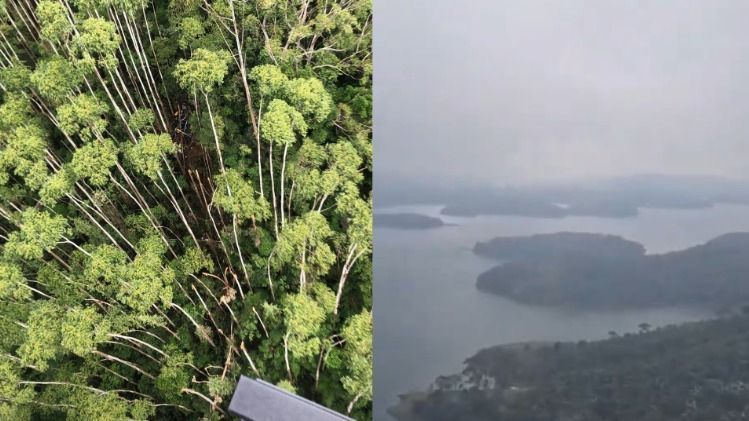 Veja imagens das buscas pelo helicóptero desaparecido há 12 dias em São Paulo
