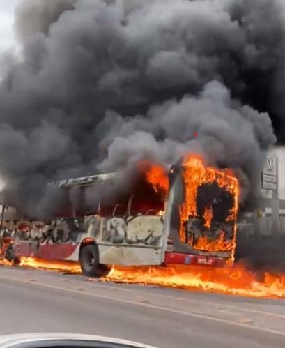 Vídeo: ônibus pega fogo no bairro Califórnia, na região Oeste de BH