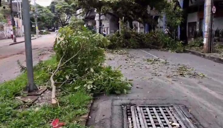 Chuva em BH: capital mineira amanhece com estragos em ruas, casas e carros após temporal