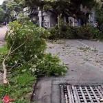 Chuva em BH: capital mineira amanhece com estragos em ruas, casas e carros após temporal