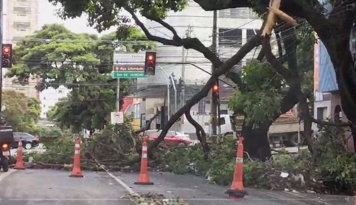 Vídeo: Av. Prudente de Morais, em BH, amanhece com pontos de interdição após temporal