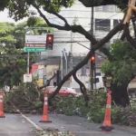 Vídeo: Av. Prudente de Morais, em BH, amanhece com pontos de interdição após temporal