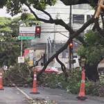 Vídeo: Av. Prudente de Morais, em BH, amanhece com pontos de interdição após temporal