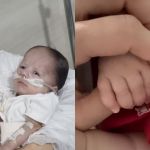 Filho de Zé Vaqueiro, internado desde que nasceu, tem piora e mãe desabafa: 'É muito difícil'