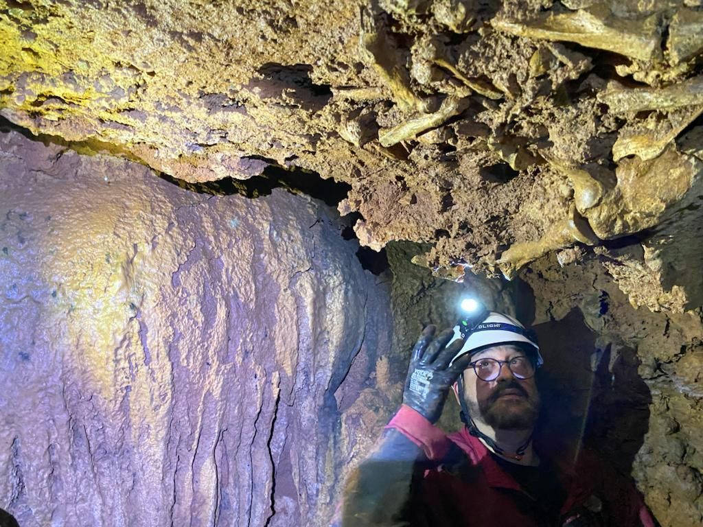 Preguiça gigante: pesquisa da PUC resgata fóssil que quebra paradigma em Minas
