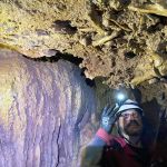 Preguiça gigante: pesquisa da PUC resgata fóssil que quebra paradigma em Minas