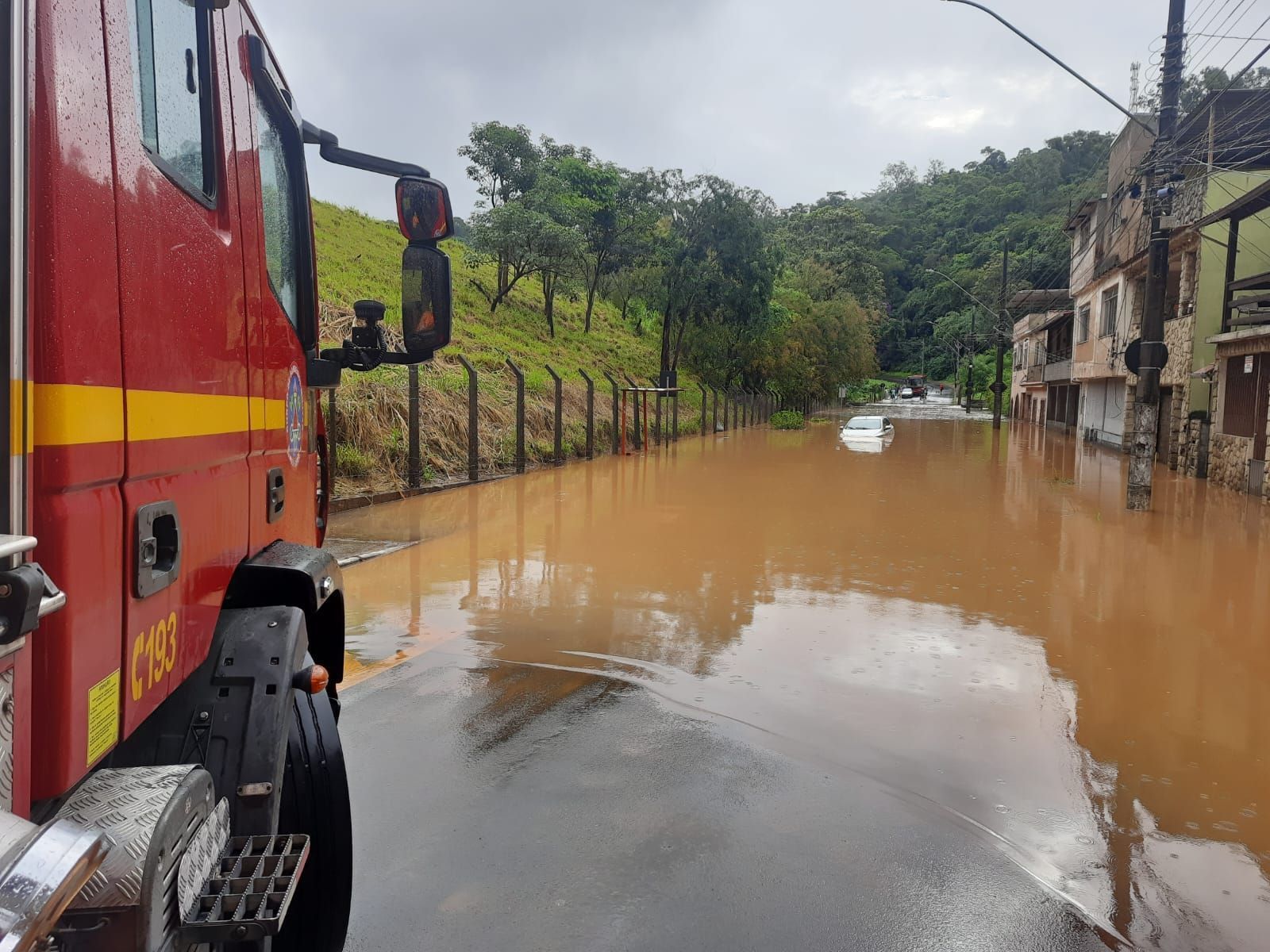 Temporal em Juiz de Fora: prefeitura resgata 35 animais em áreas de risco e faz alerta