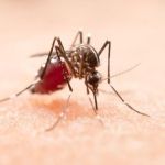 Minas vai distribuir mais de 400 mil testes rápidos de diagnóstico de dengue