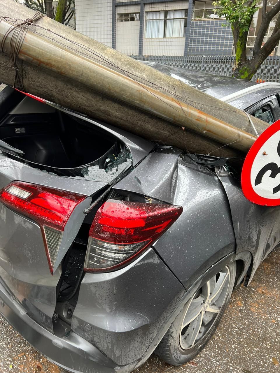 Chuva forte derruba árvore no Sion, atinge a rede elétrica e família fica presa dentro do carro; vídeo
