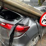 Chuva forte derruba árvore no Sion, atinge a rede elétrica e família fica presa dentro do carro; vídeo