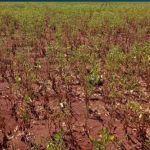 Brasil não pode cair na crise do agro