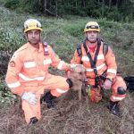 Vídeo: cachorro é resgatado de buraco com 30 metros de profundidade em Minas