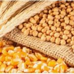 Agro: recorde em 2023 e ameaçado de crise em 2024