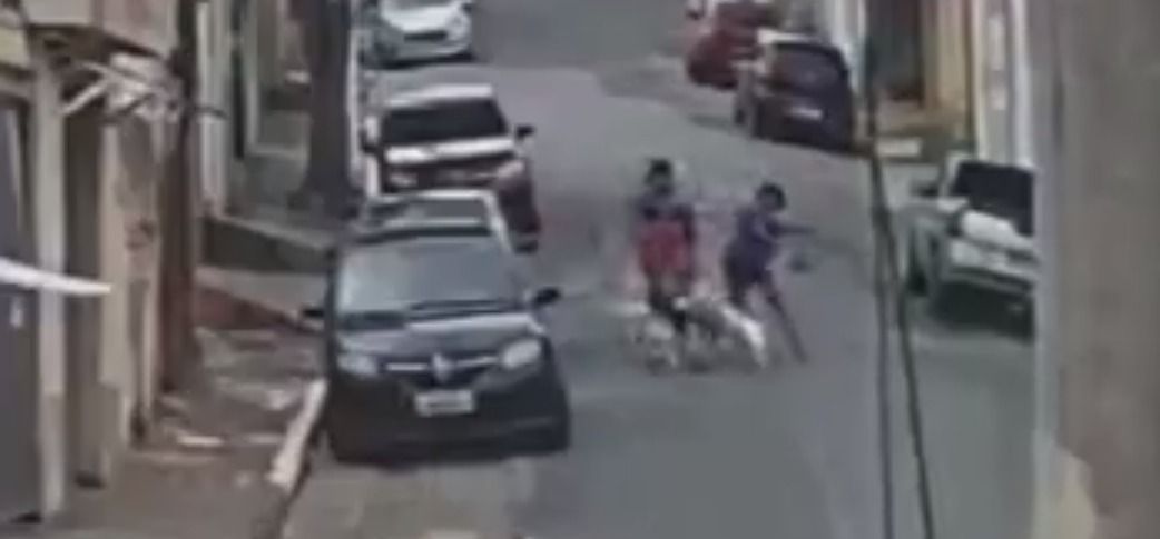 Homem tem parada cardiorrespiratória e morre ao tentar salvar o próprio cachorro de ataque de pitbull