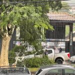Vídeo: galho de árvore cai sobre carro e mobiliza populares durante chuva em BH