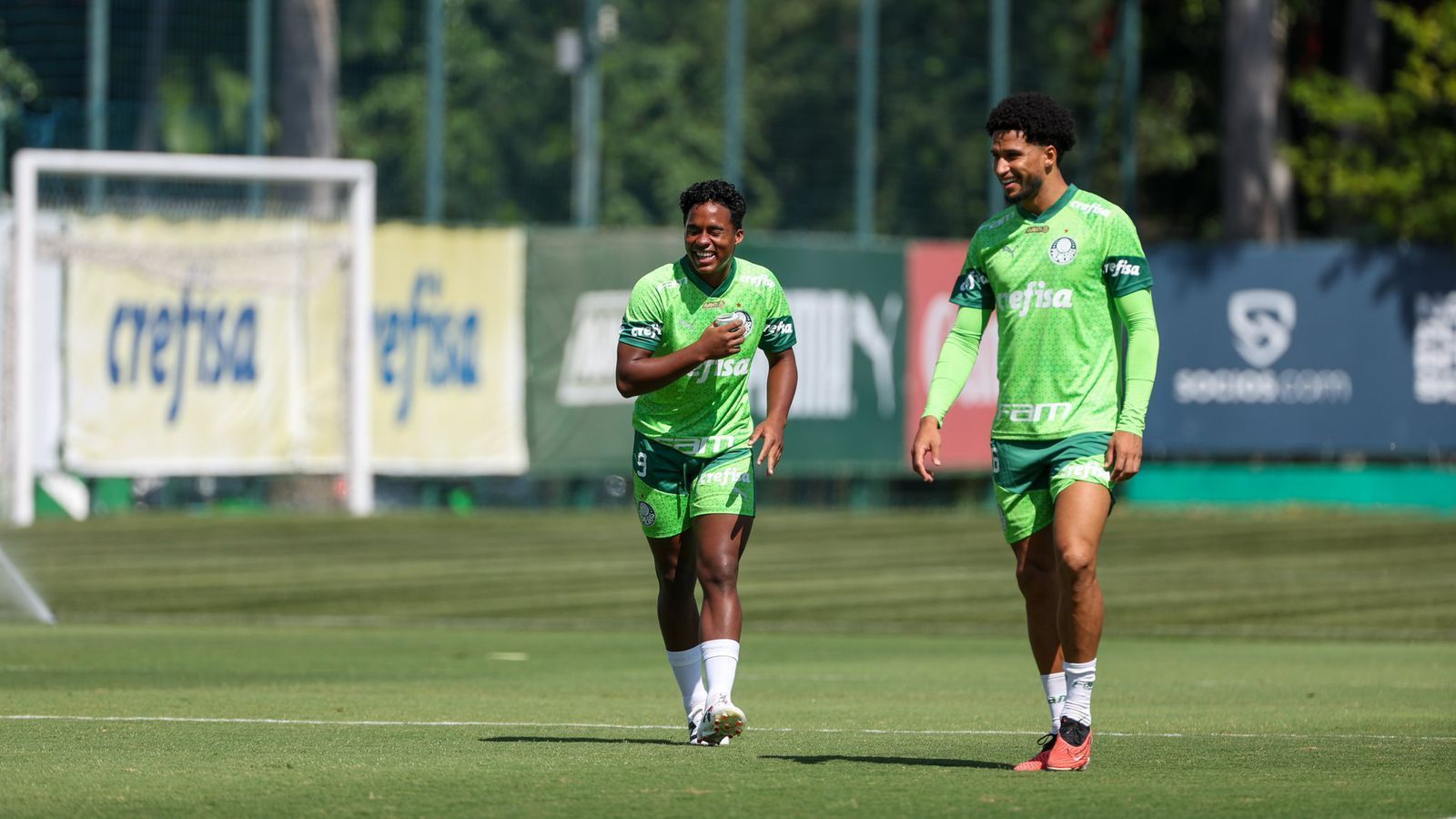 Palmeiras x Ponte Preta: horário e onde assistir pelo Campeonato Paulista