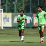 Palmeiras x Ponte Preta: horário e onde assistir pelo Campeonato Paulista