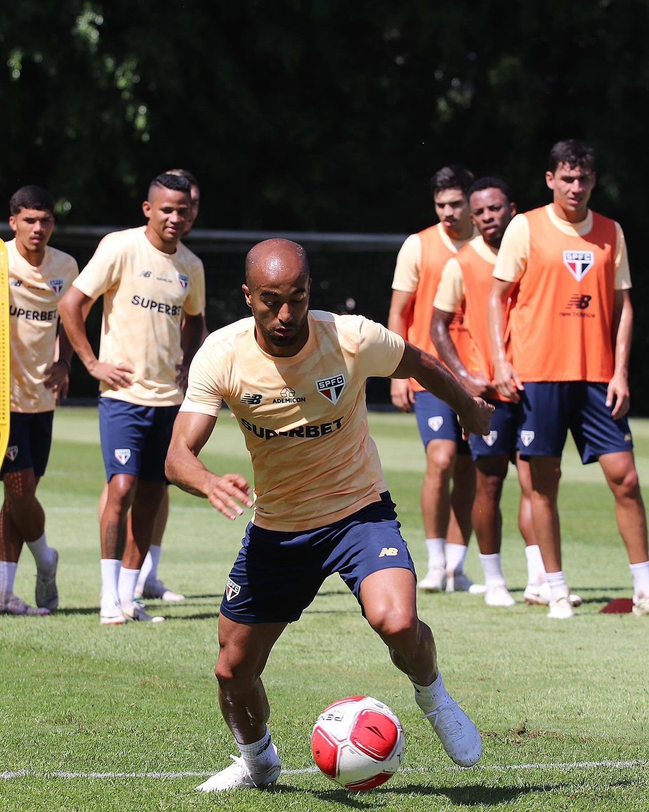 São Paulo x Novorizontino: horário e onde assistir pelo Campeonato Paulista