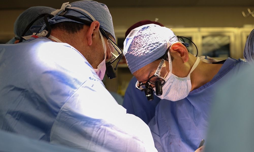 Brasileiro lidera primeiro transplante de rim de porco para humano, nos EUA