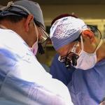 Brasileiro lidera primeiro transplante de rim de porco para humano, nos EUA