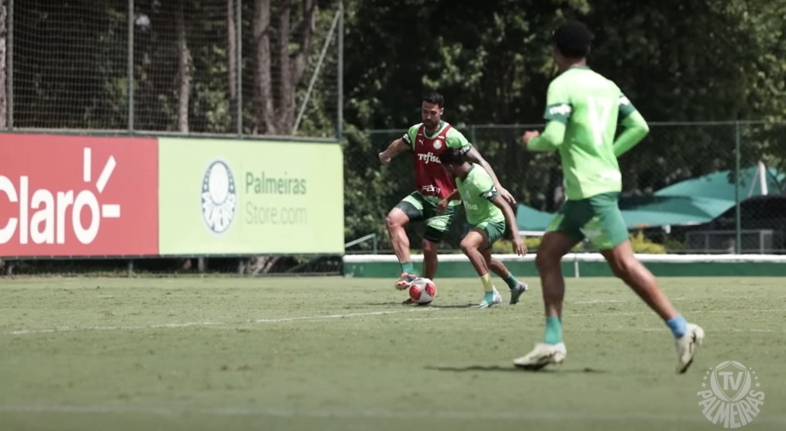 Vídeo: treino do Palmeiras tem caneta em Rony e golaço de promessa