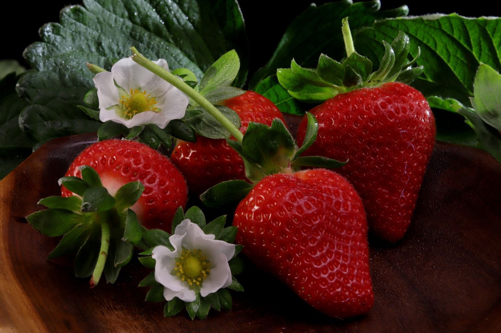 'Novo’ morango, mais doce e mais firme começa a ser plantado no país; Minas é maior produtor da fruta