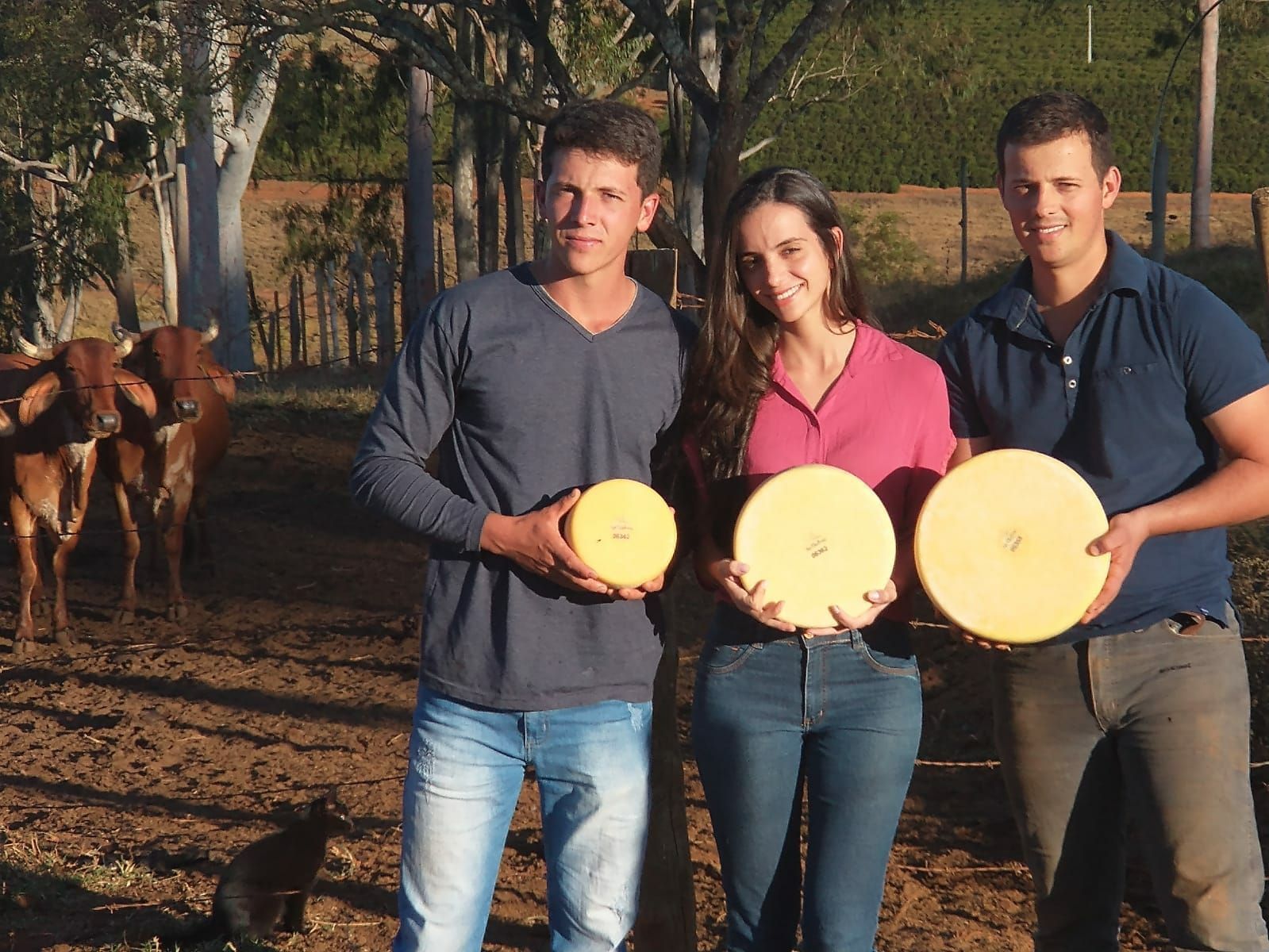 Conheça os queijos mineiros finalistas do Mundial e saiba onde encontrá-los