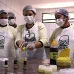 Apicultores do Norte de Minas se preparam para produzir cosméticos à base de mel; entenda