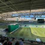 Palmeiras rebate posicionamento de jogadores sobre grama sintética e sobe o tom
