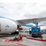 Anac abre consulta pública para discutir regras para transporte de animais em voos